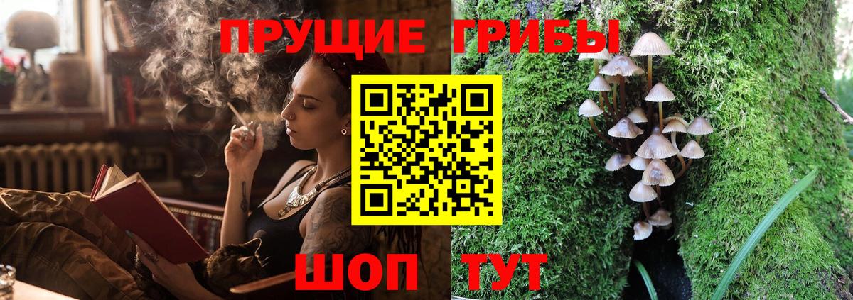 Галлюциногенные грибы GOLDEN TEACHER Малоярославец