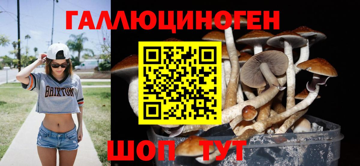Галлюциногенные грибы Psilocybe  Вход с VPN  Псилоцибиновые грибы Psilocybe  Малоярославец 